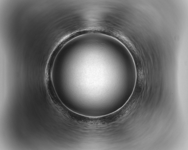 X0000096410628200801241221