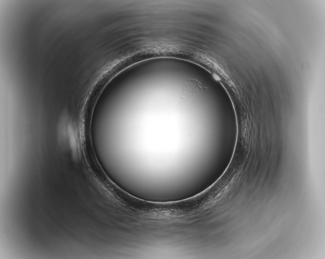 X0000096410629200801241221