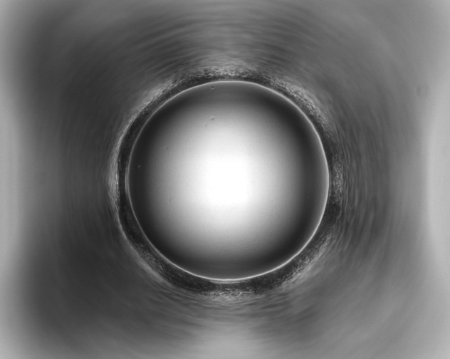 X0000096410630200801241221
