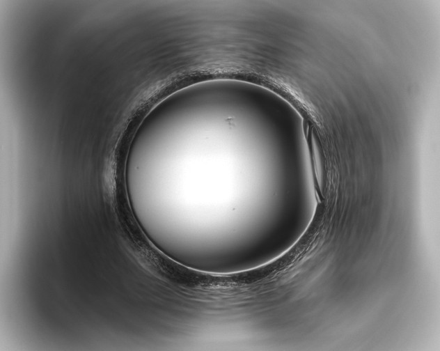 X0000096410631200801241221