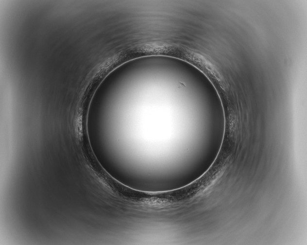 X0000096410633200801241221