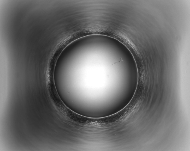 X0000096410635200801241221
