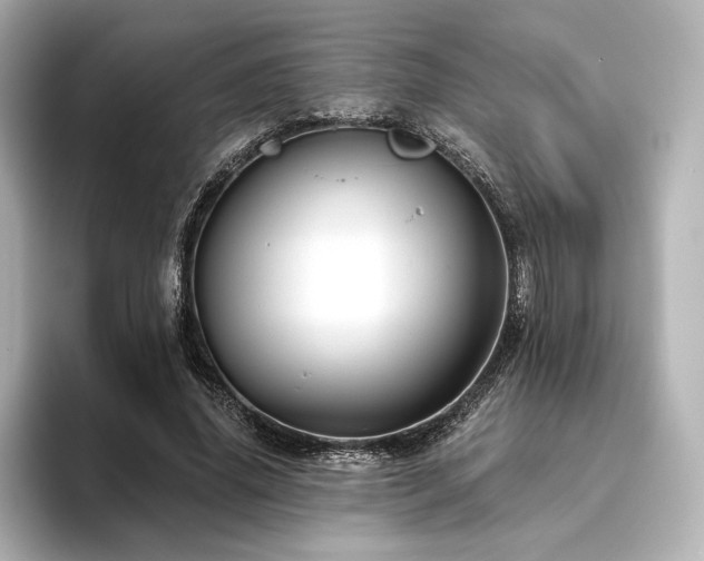 X0000096410636200801241221