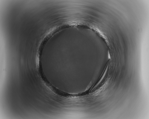 X0000096410637200801241221