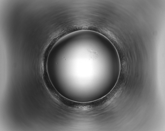 X0000096410638200801241221