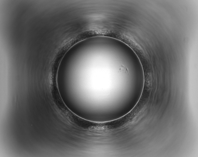 X0000096410639200801241221
