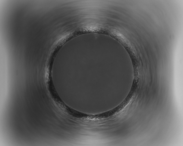 X0000096410640200801241221