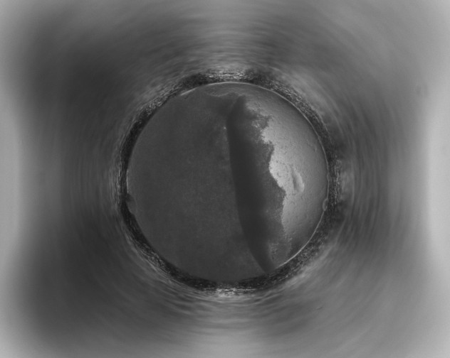 X0000096410641200801241221