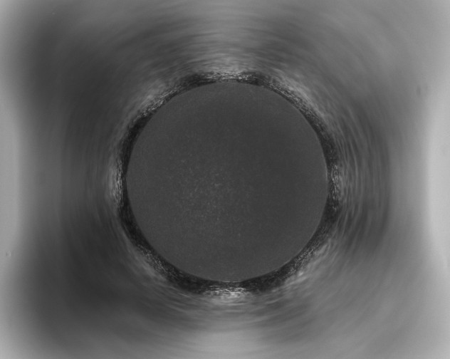 X0000096410642200801241221