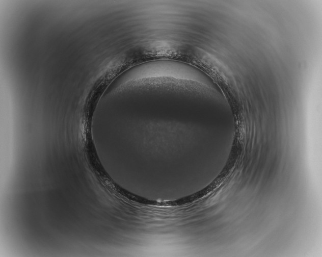 X0000096410643200801241221