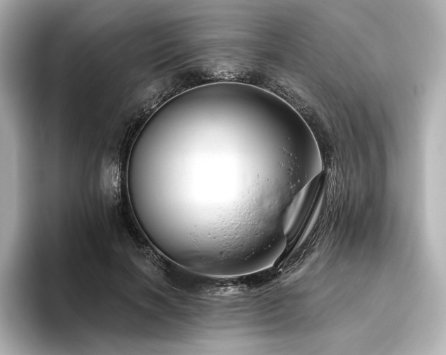 X0000096410646200801241221