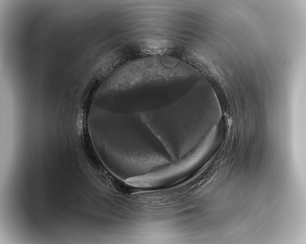 X0000096410647200801241221