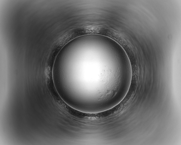 X0000096410649200801241221
