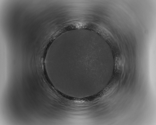 X0000096410650200801241221