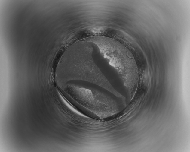 X0000096410651200801241221