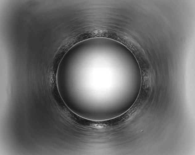 X0000096410654200801241222