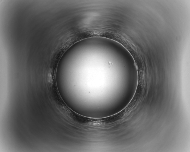 X0000096410655200801241222