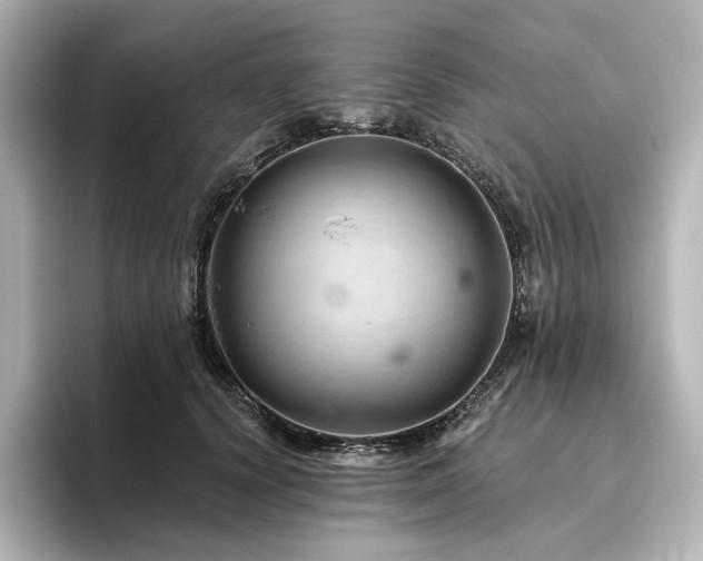 X0000096410656200801241222