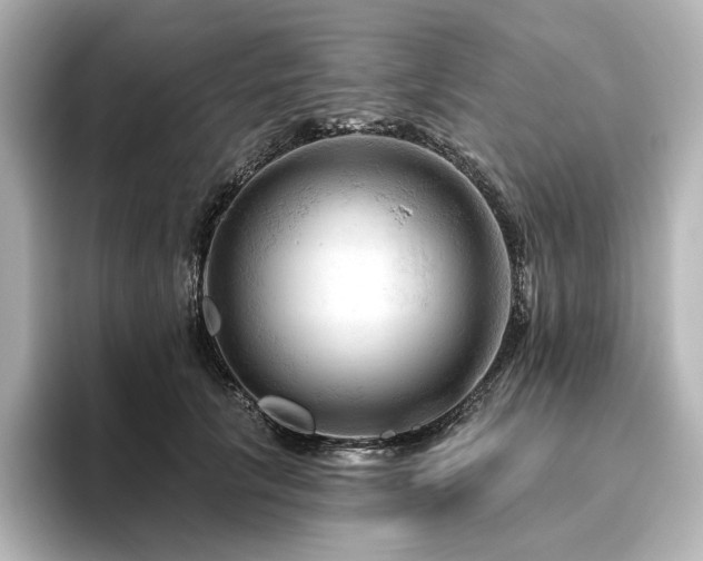 X0000096410657200801241222