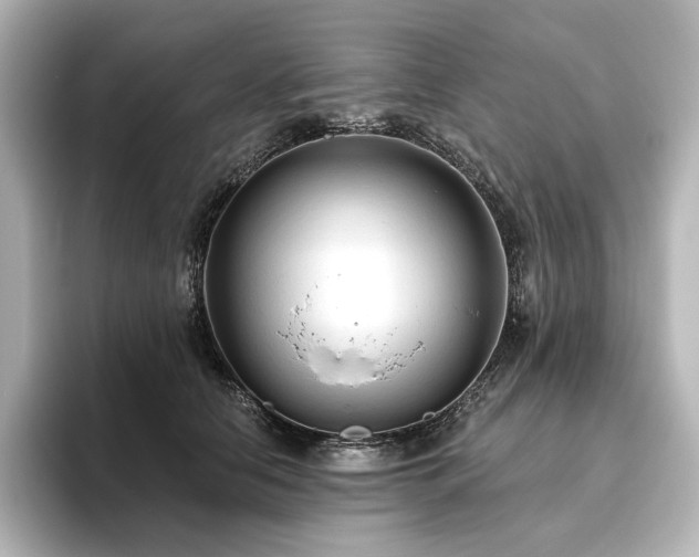 X0000096410658200801241222