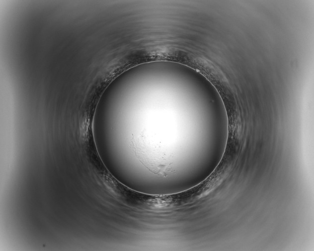 X0000096410660200801241222