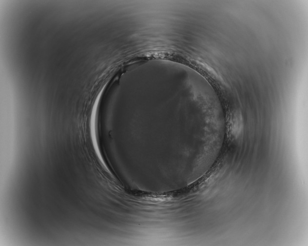 X0000096410661200801241222