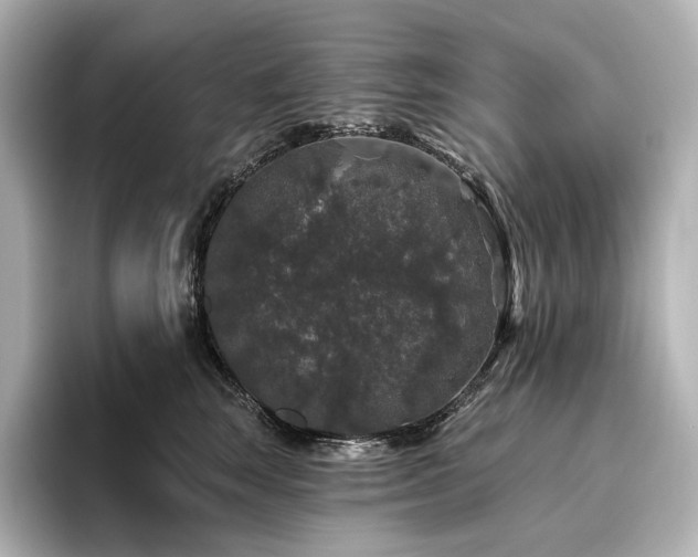 X0000096410663200801241222