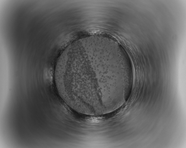 X0000096410664200801241222