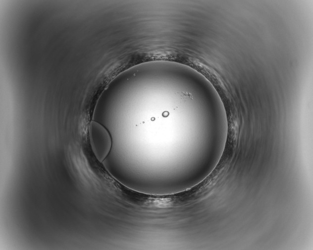 X0000096410665200801241222