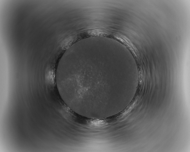 X0000096410669200801241222