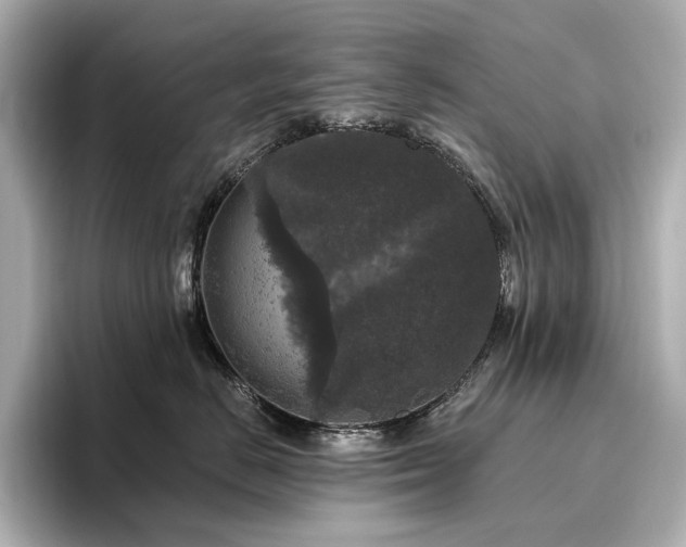 X0000096410670200801241222