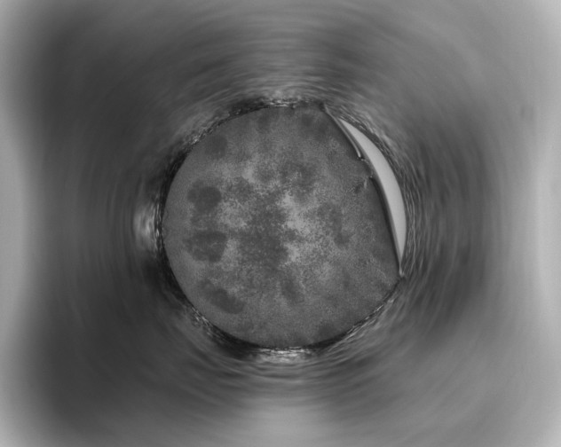 X0000096410671200801241222
