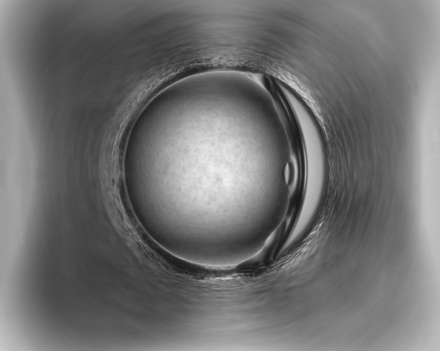X0000096410673200801241221