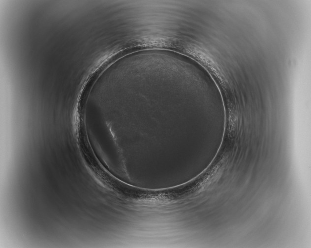 X0000096410674200801241221