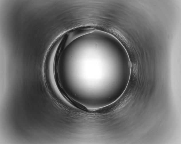 X0000096410676200801241221