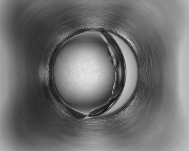 X0000096410677200801241221