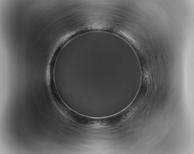 X0000096410678200801241221