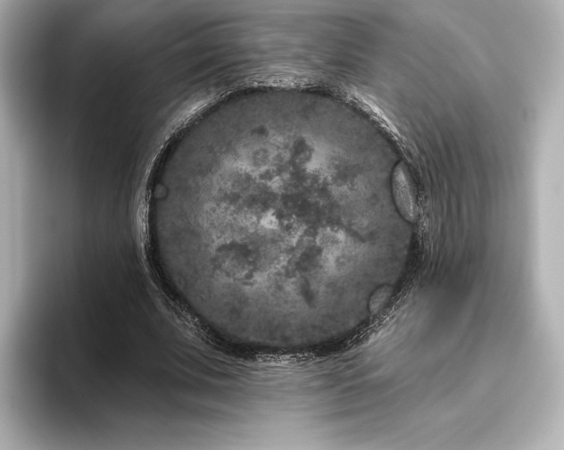 X0000096410679200801241221