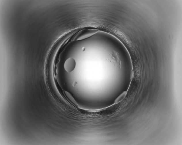 X0000096410680200801241221