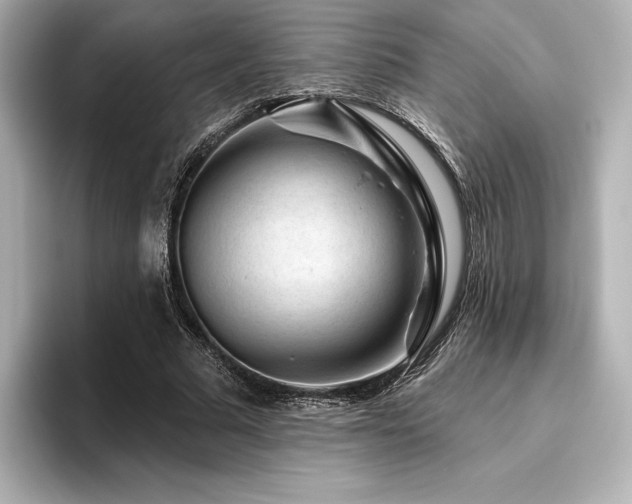 X0000096410681200801241221
