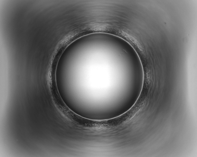 X0000096410682200801241221