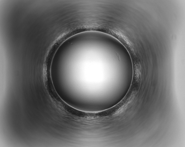 X0000096410684200801241221