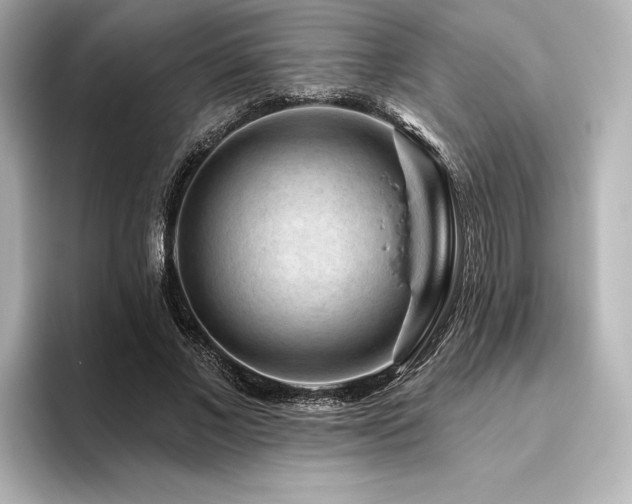X0000096410685200801241221