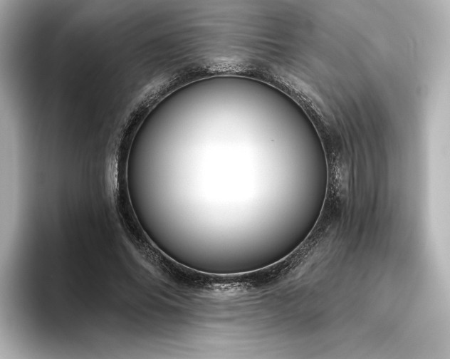 X0000096410686200801241221