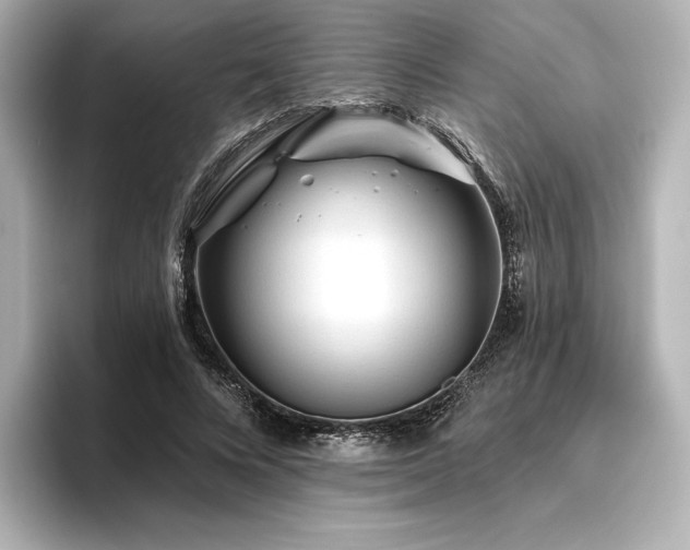 X0000096410688200801241221