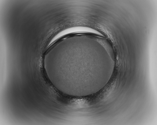 X0000096410689200801241221