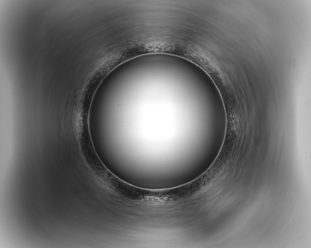 X0000096410690200801241221