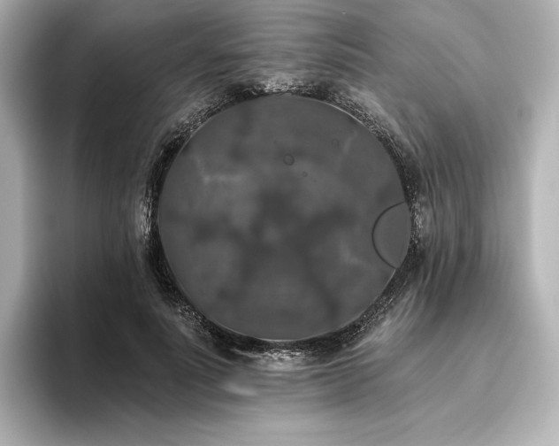 X0000096410691200801241221