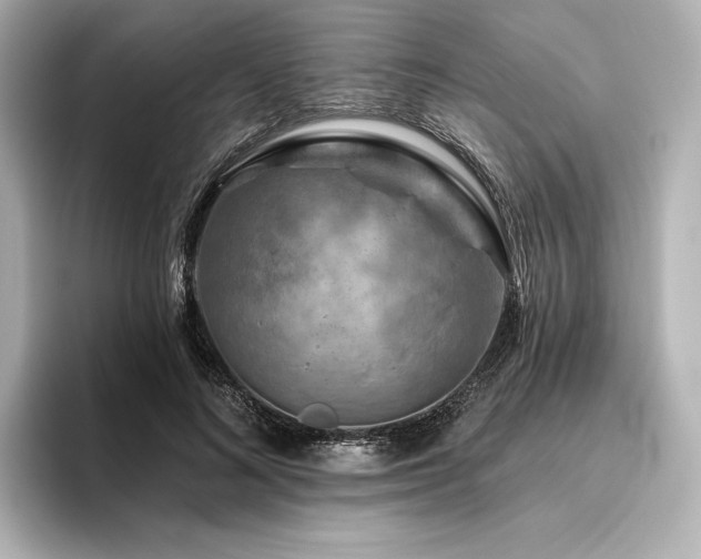 X0000096410692200801241221