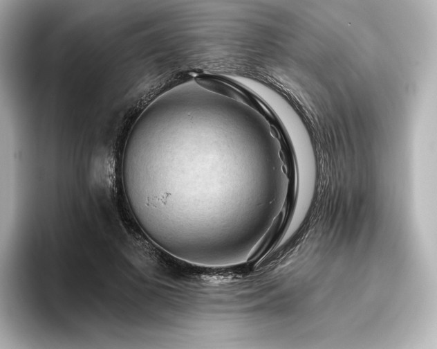 X0000096410693200801241221